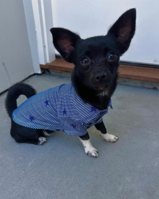 Distinguished Star Shirt