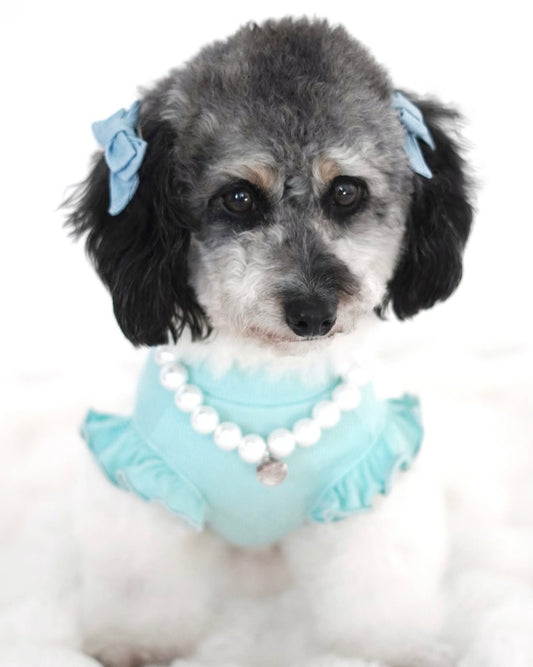 Arabella Frilly Sleeve Top Tiffany Blue