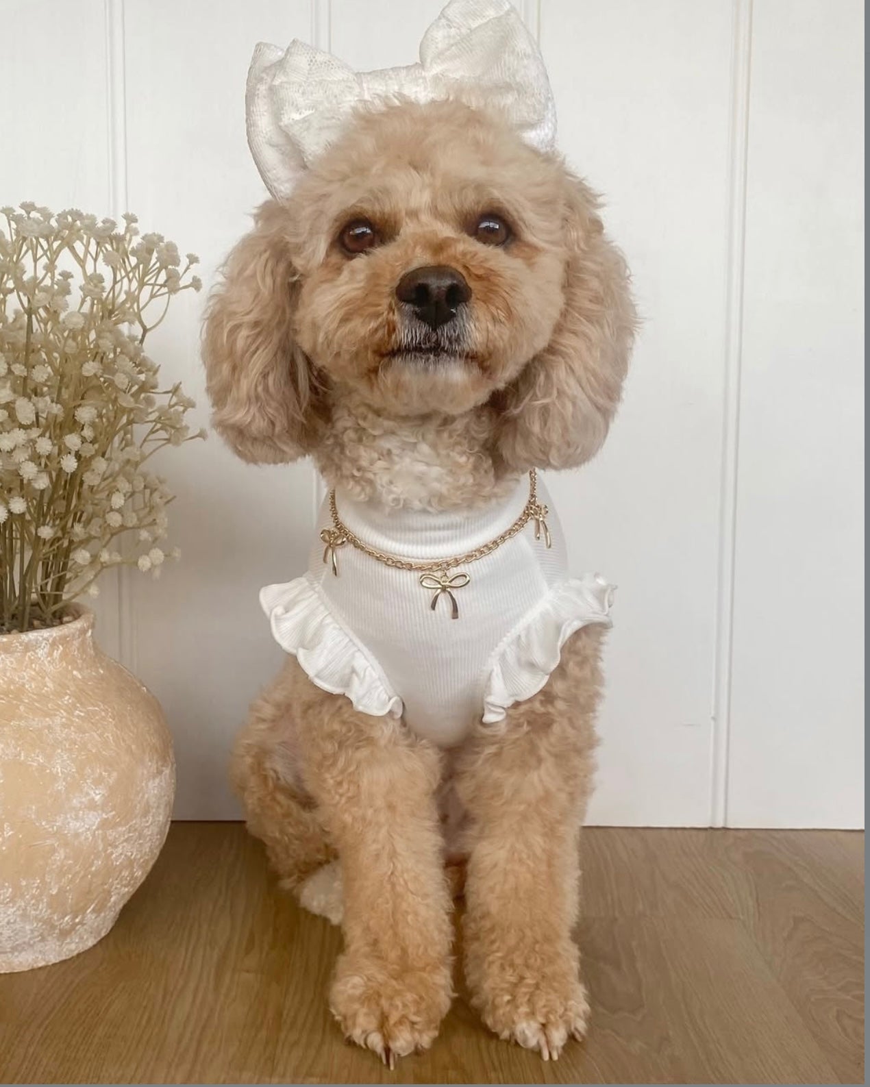 Arabella Frilly Sleeve Top White