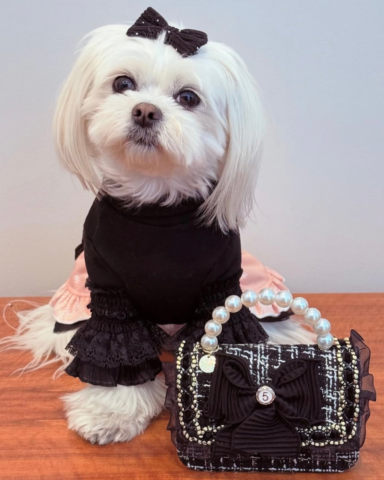 Tiny Paw Couture Mini Bag - Noir Belle Luxe