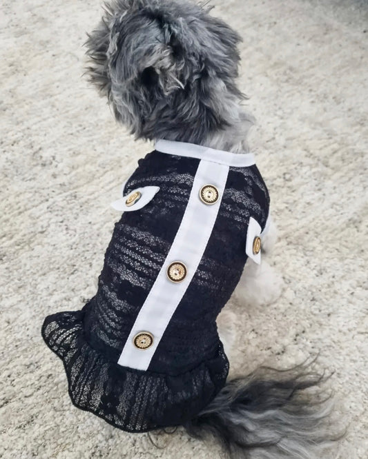 Gabriella Luxe Lace Dress Black