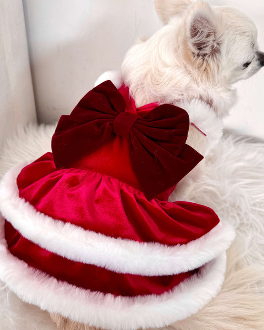 Mrs Claus Dress