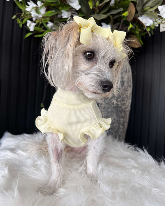 Arabella Frilly Sleeve Top Yellow