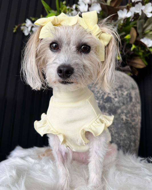 Arabella Frilly Sleeve Top Yellow