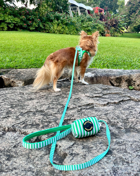 Wet'n'Wild Green Stripes Lead