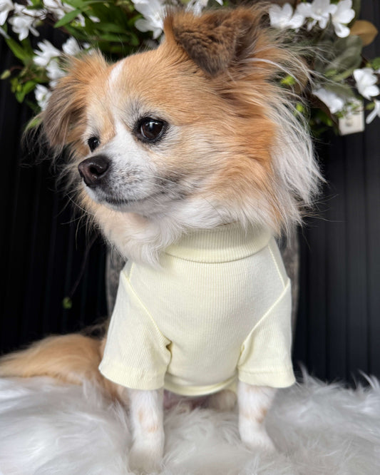 Arlo Short Sleeve Top Yellow