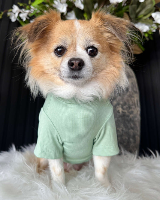 Arlo Short Sleeve Top Green