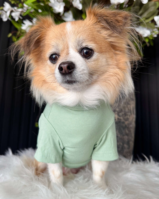 Arlo Short Sleeve Top Green