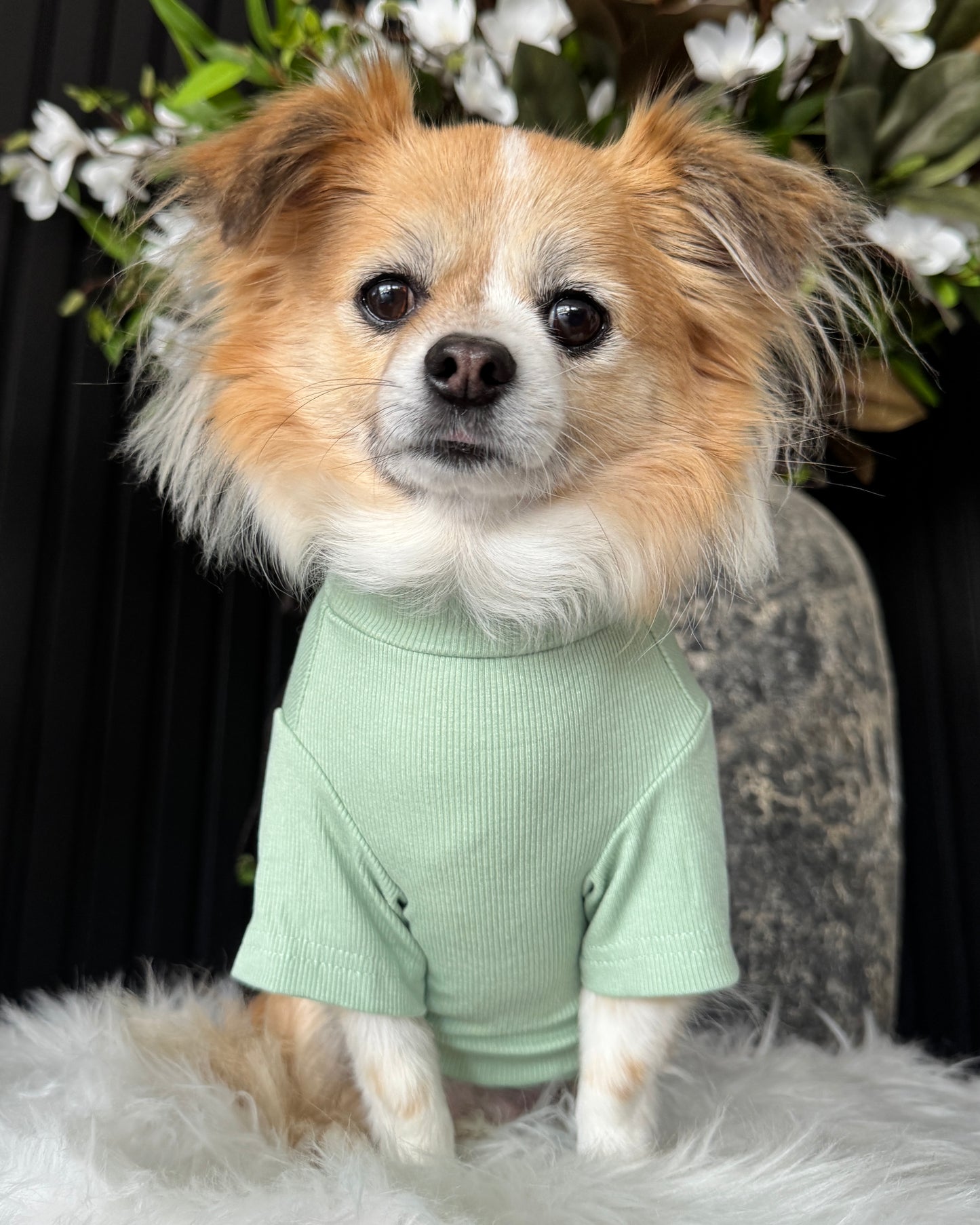 Arlo Short Sleeve Top Green
