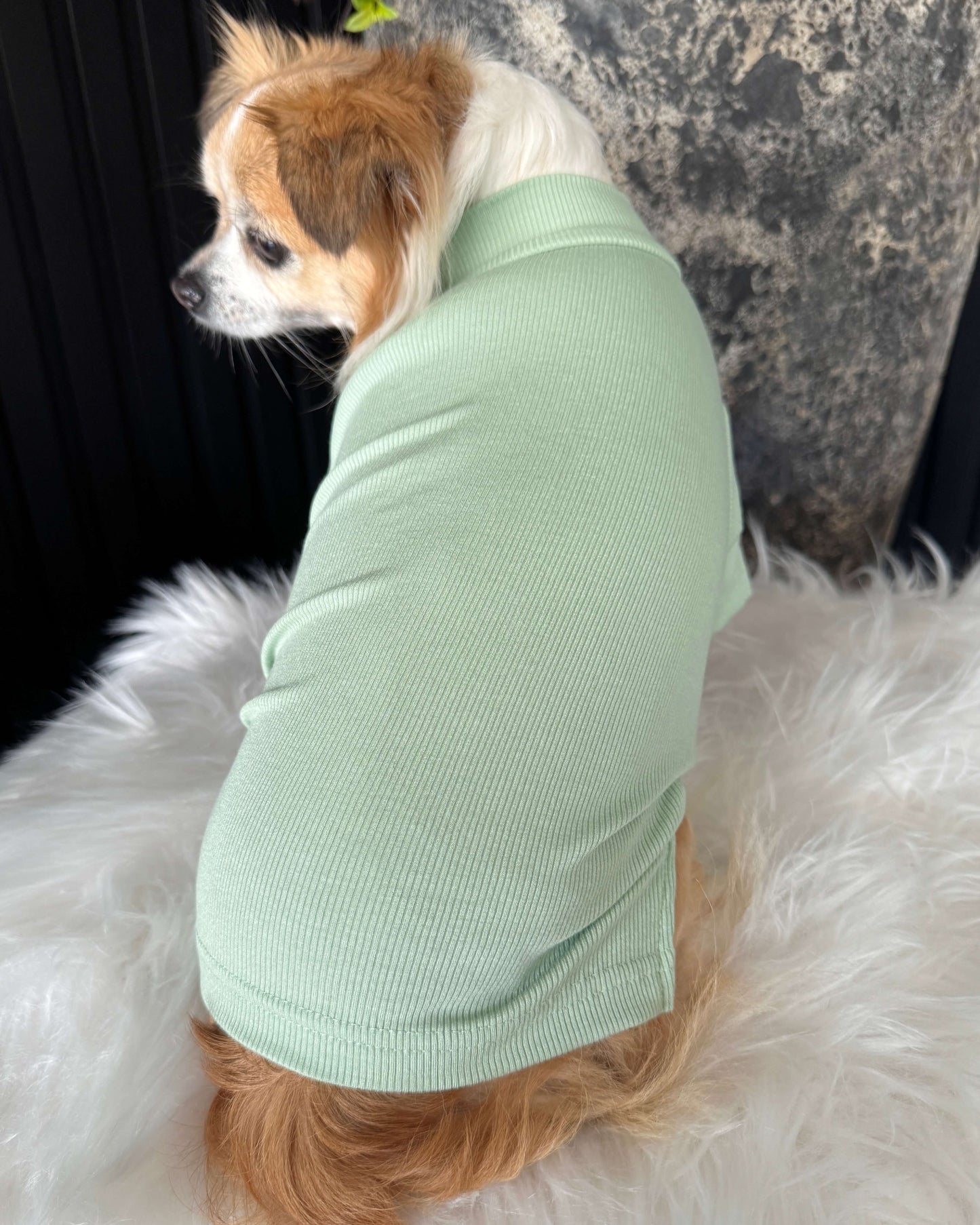 Arlo Short Sleeve Top Green
