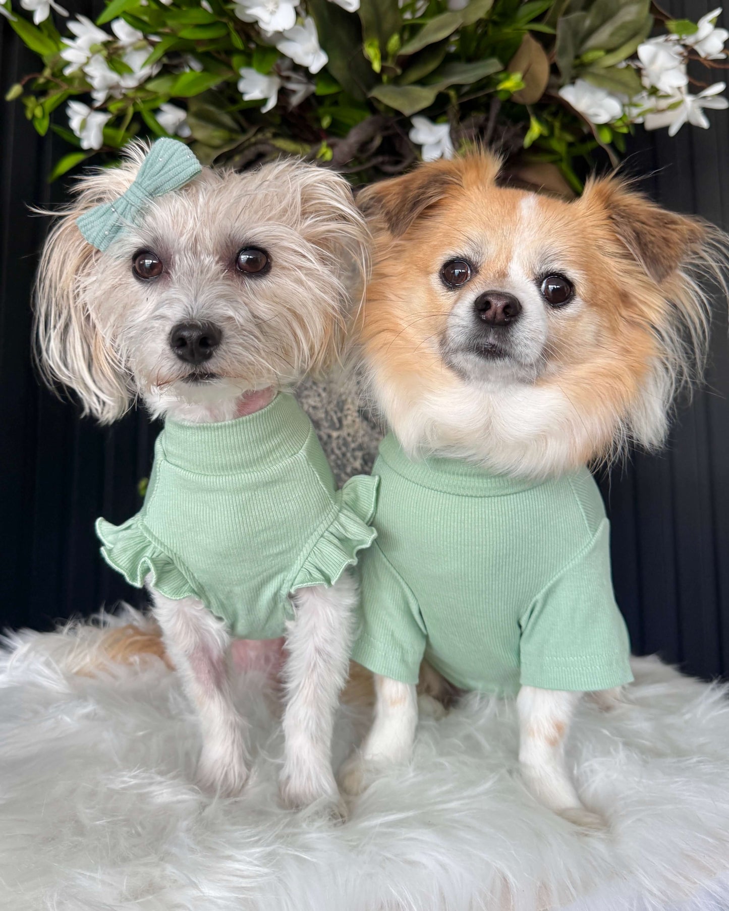 Arabella Frilly Sleeve Top Green