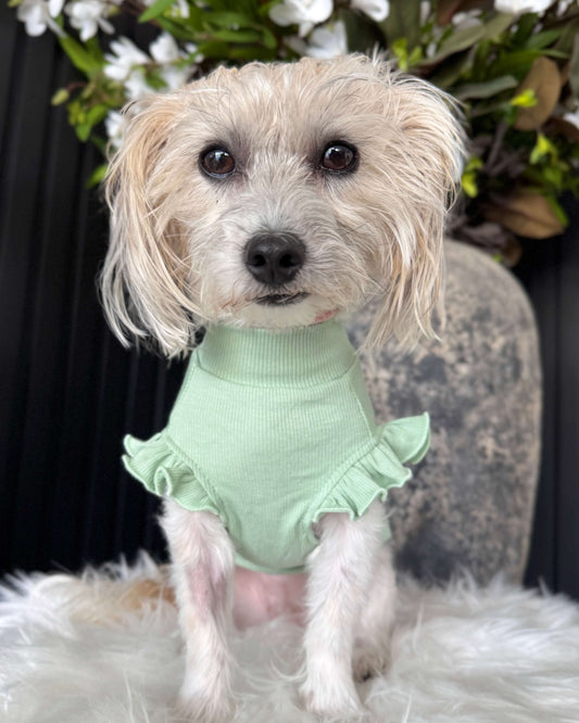 Arabella Frilly Sleeve Top Green