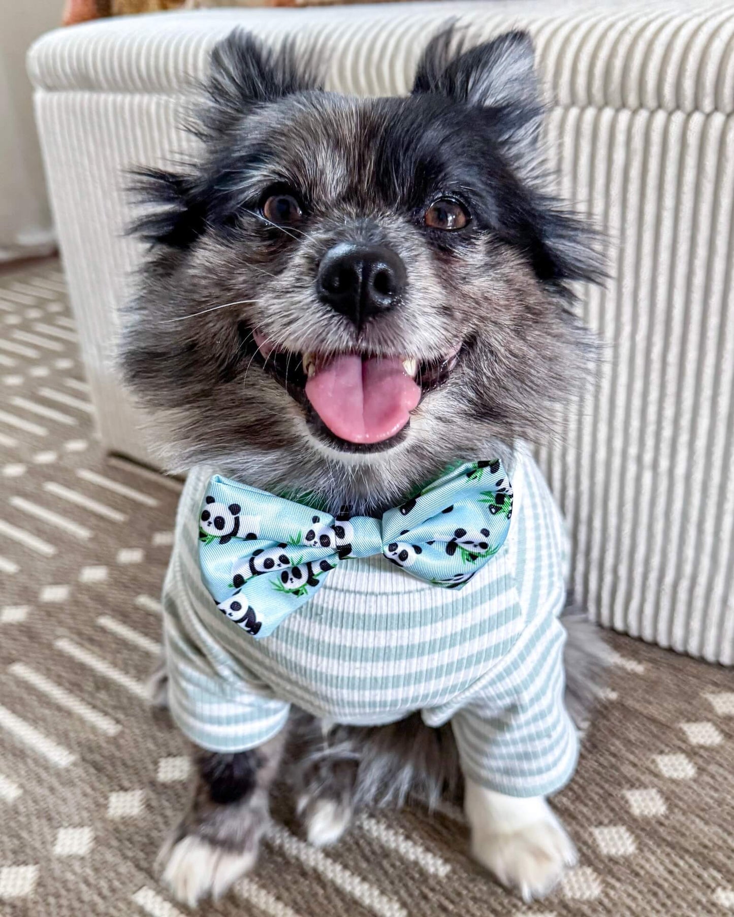 Wet'n'Wild Panda Bow
