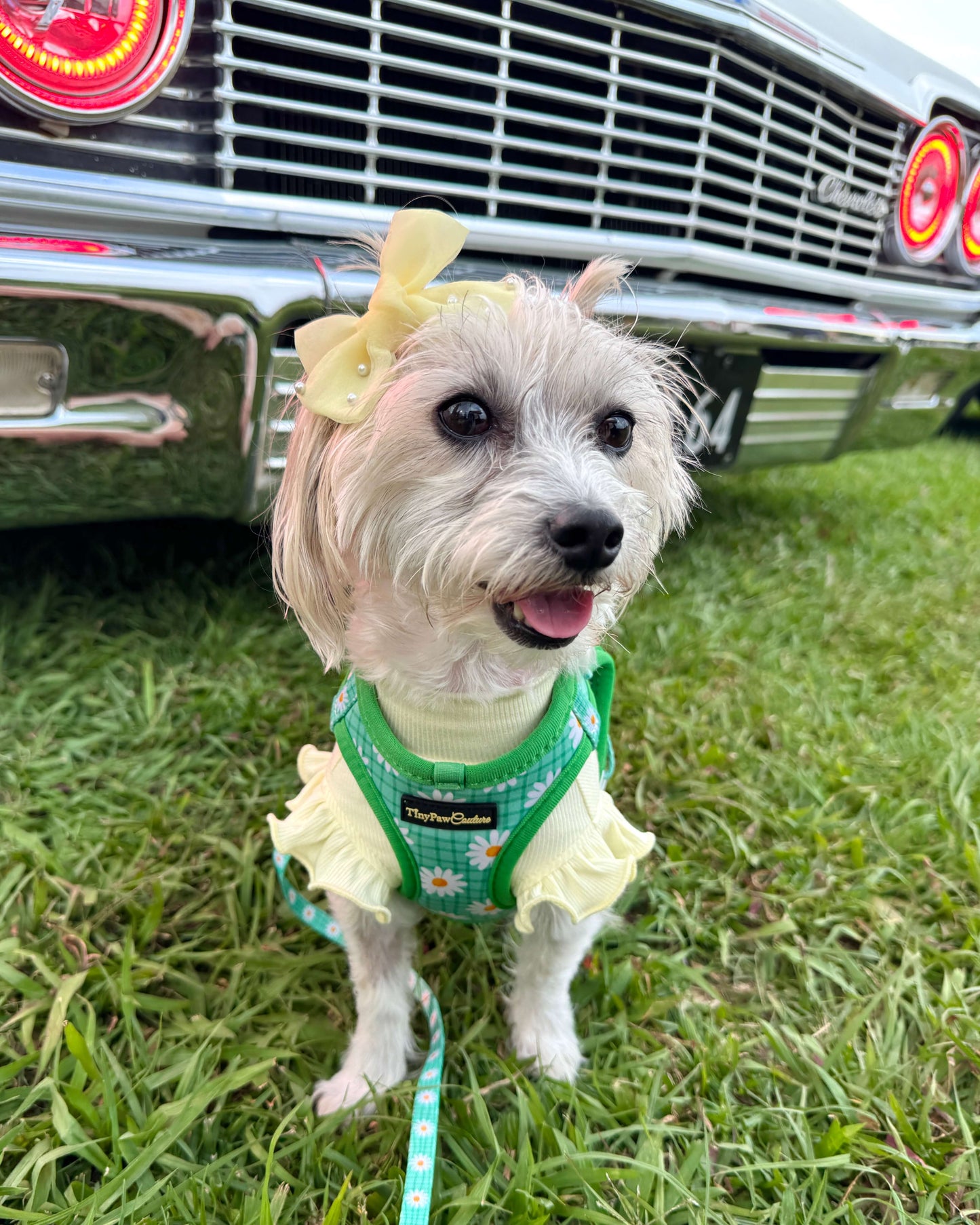 Wet'n'Wild Daisy Step In Vest Harness