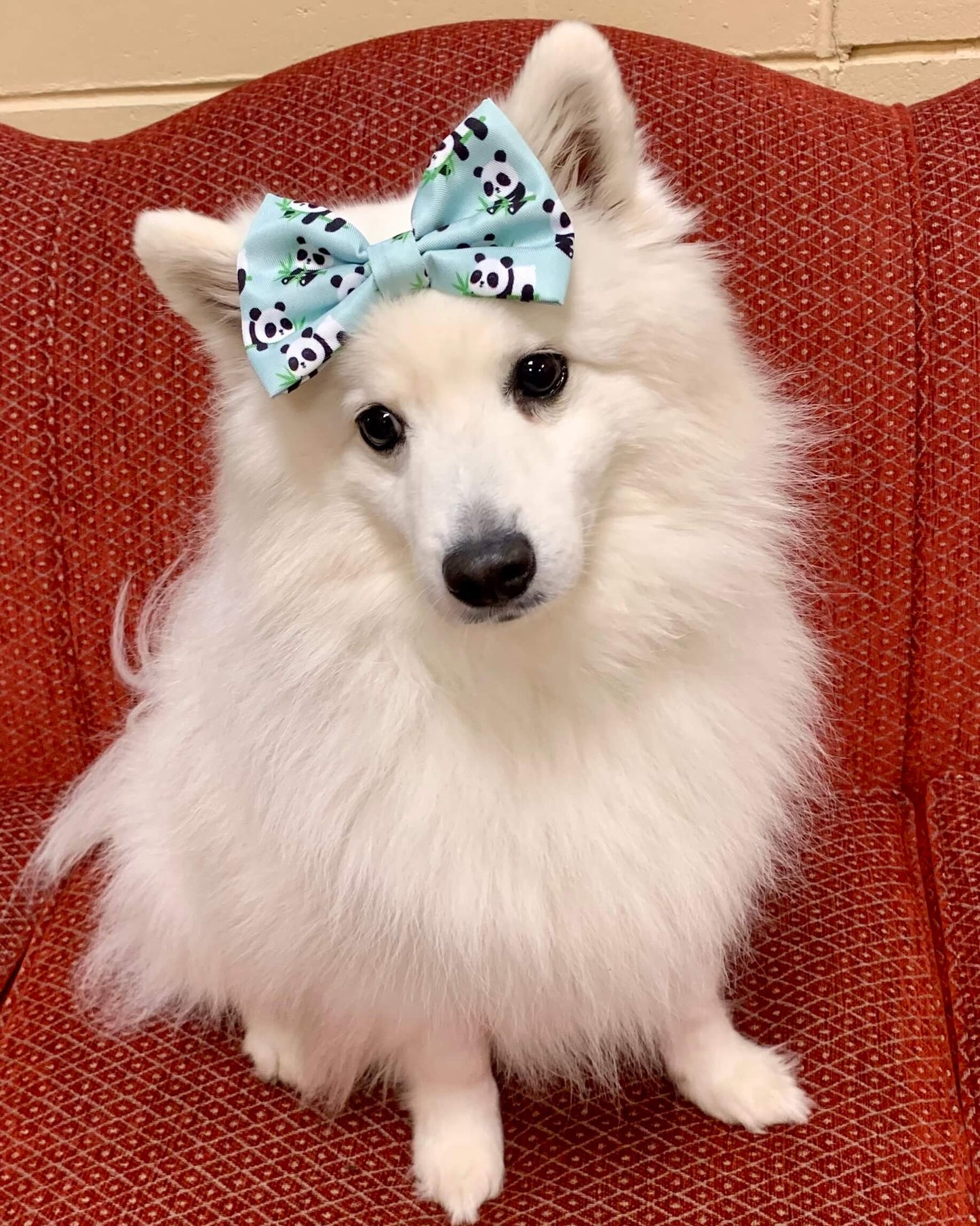 Wet'n'Wild Panda Bow