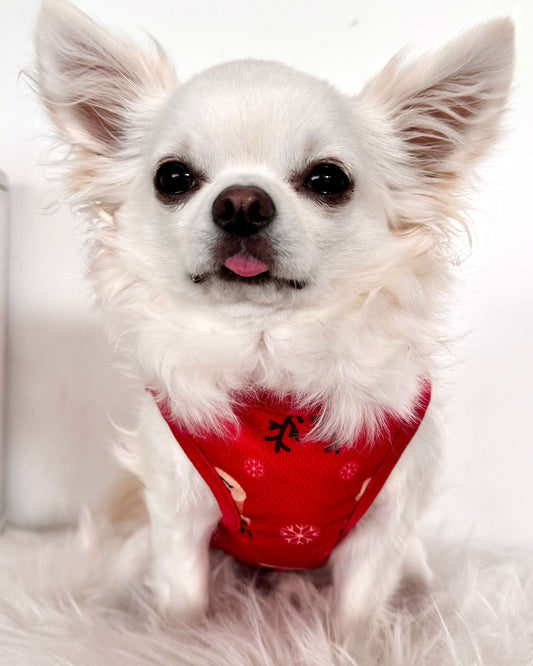 Christmas Reindeer Singlet