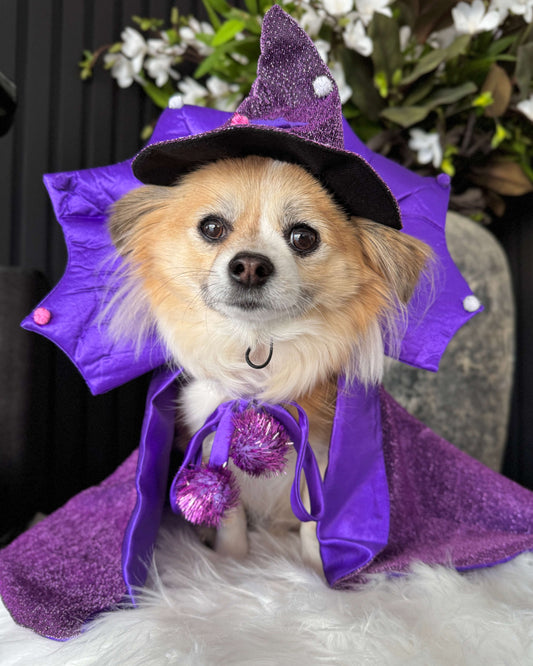 Enchanted Sourcerer Cape & Hat