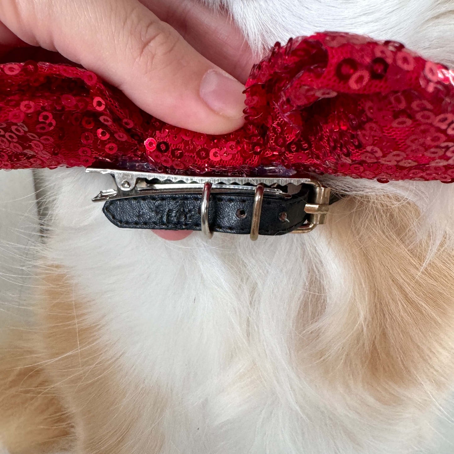 Red Sequin Big Bow
