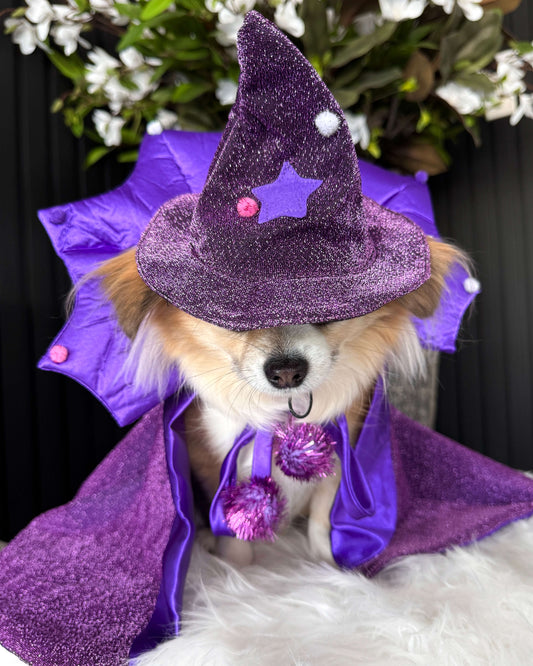 Enchanted Sourcerer Cape & Hat