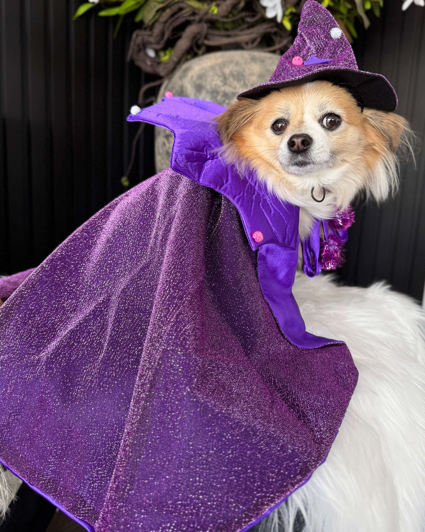 Enchanted Sourcerer Cape & Hat