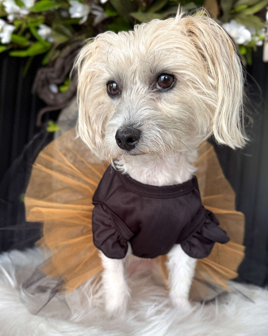 Spooky Pumpkin Tutu