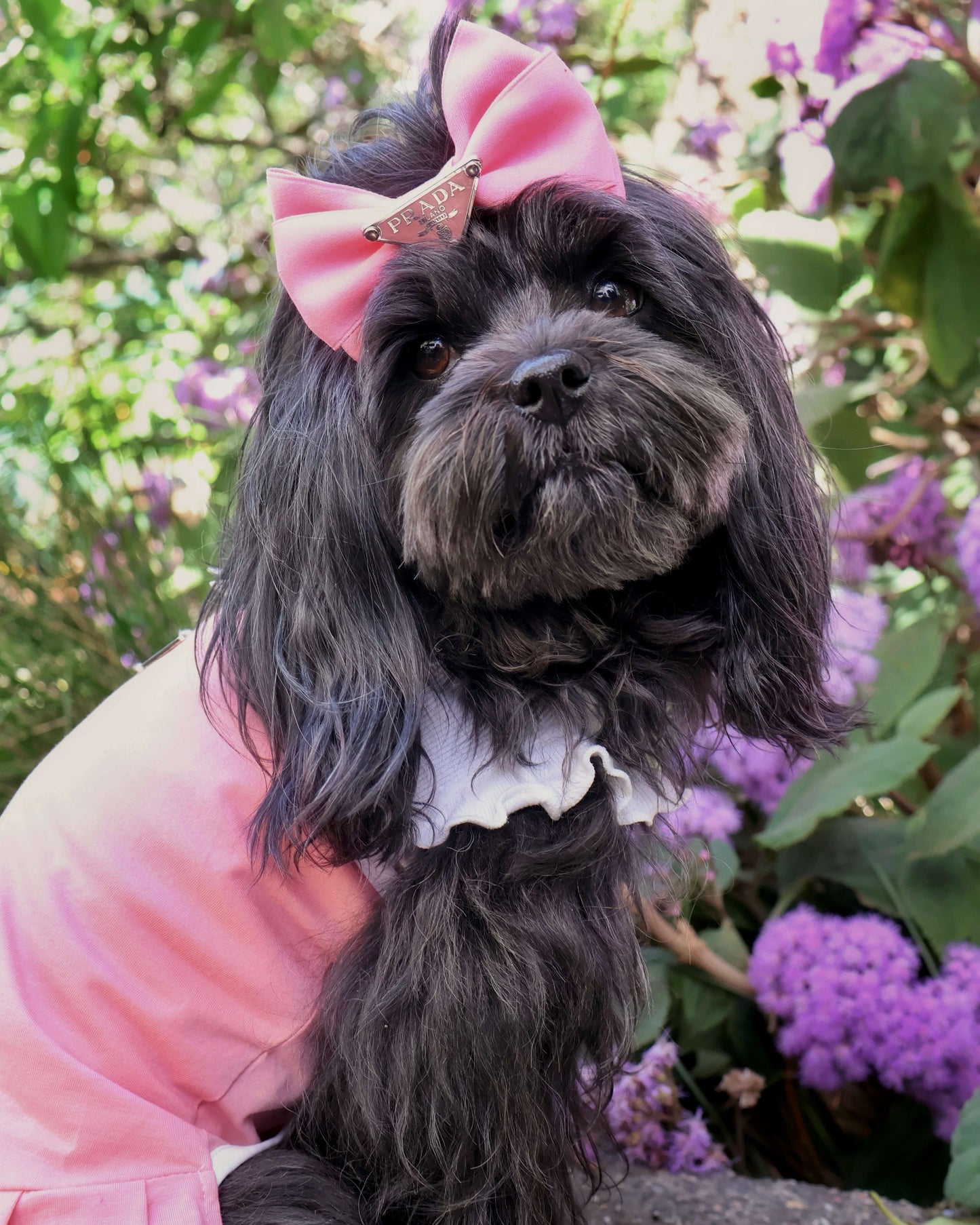 Pawda Hair Bow