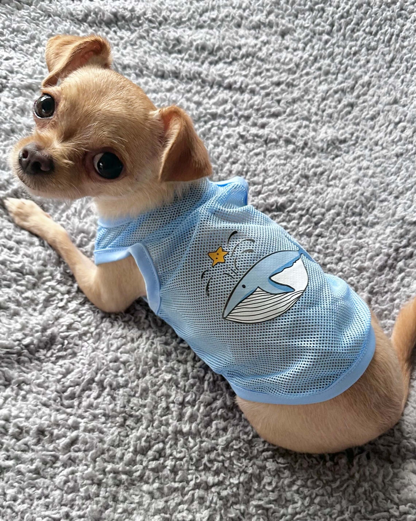'Whale, Hello There' Mesh Singlet