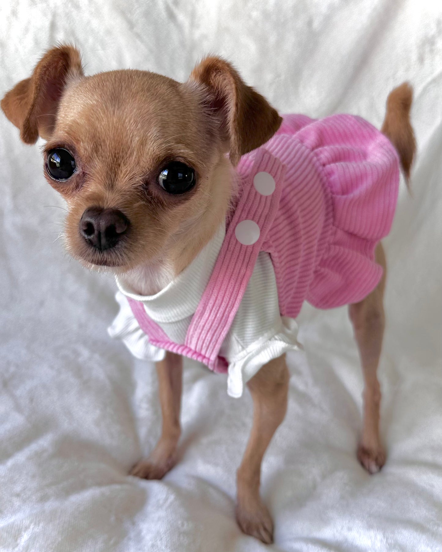 Miss Polly Corduroy Dress Pink