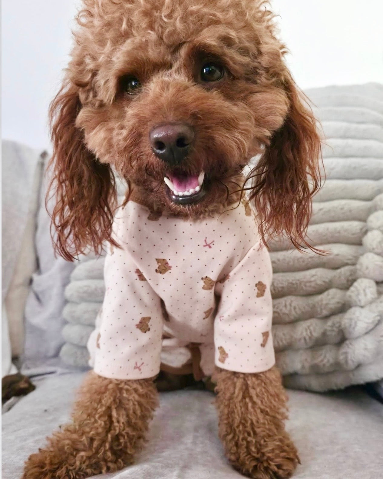 Teddy Pajama Onesie