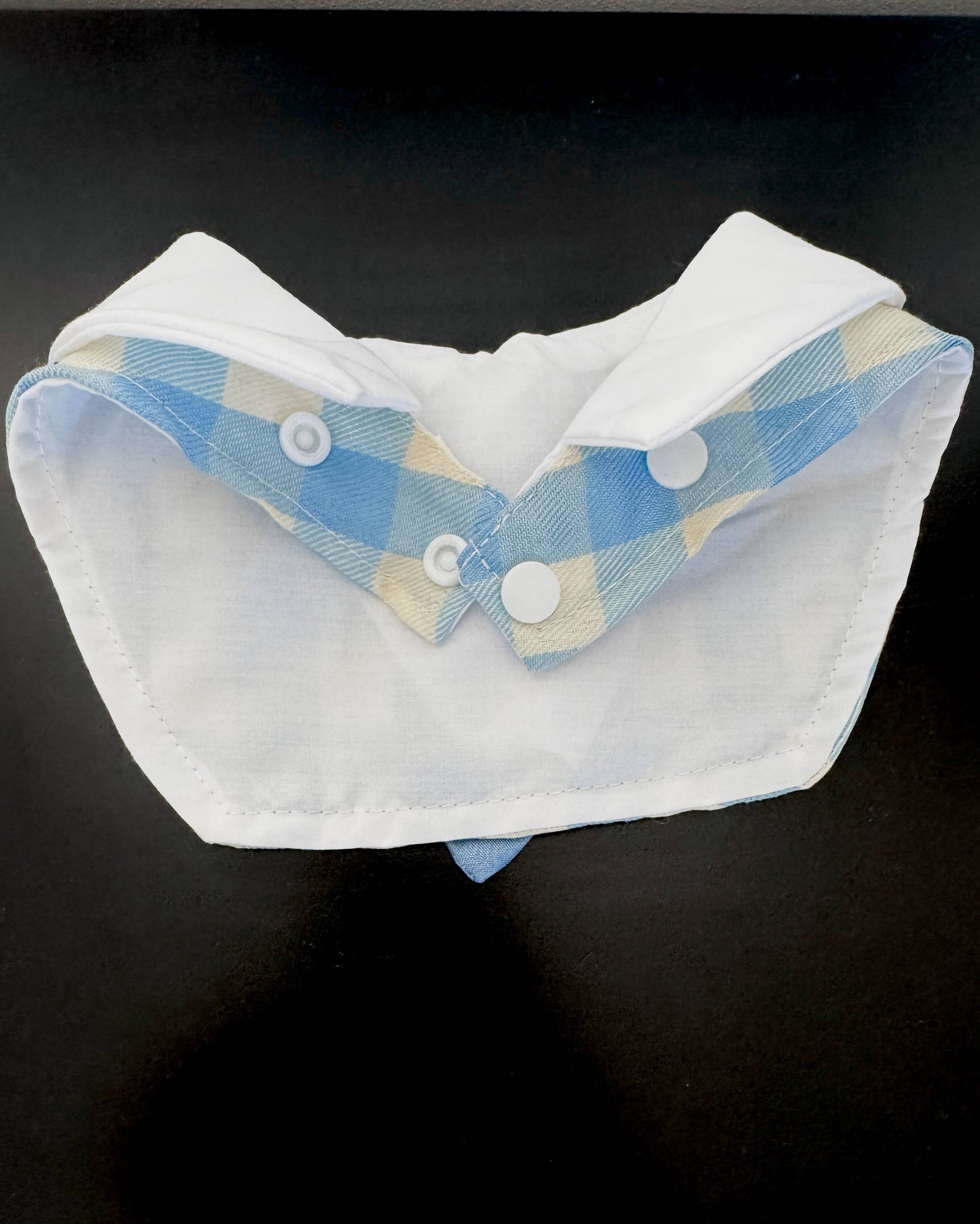 Sunday Best Bandana
