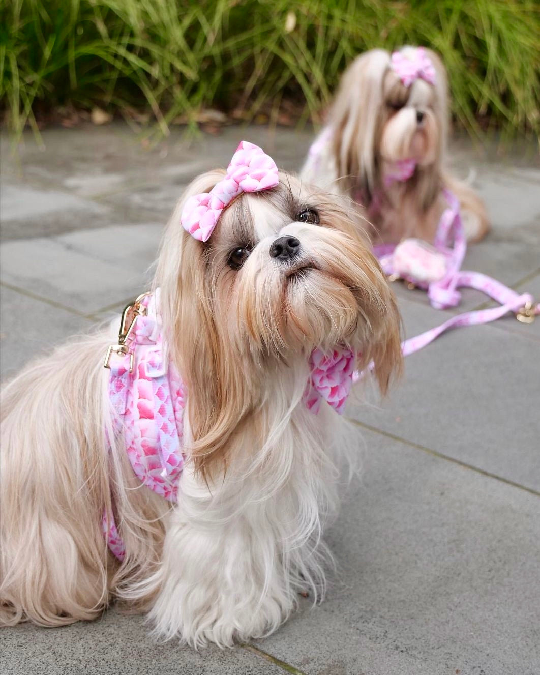 Wet'n'Wild Pink Gatsby Step In Vest Harness