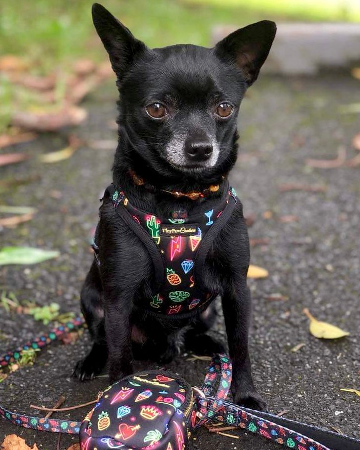 Wet'n'Wild Neon Lights Step In Vest Harness