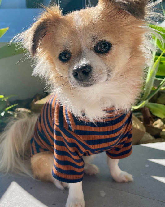 Sammy Striped Top Brown