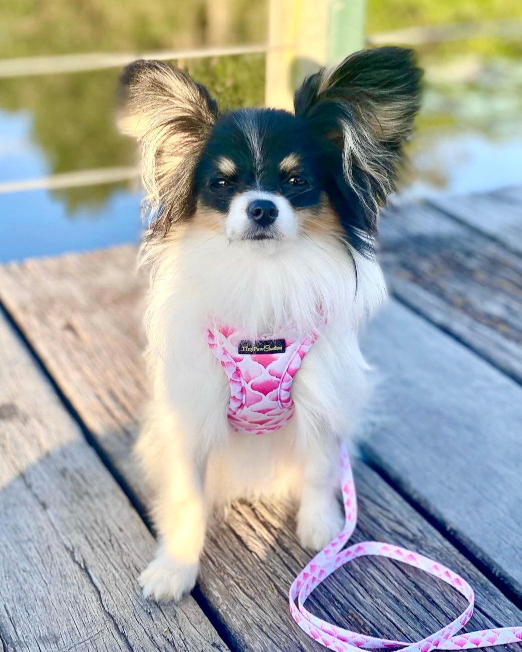Wet'n'Wild Pink Gatsby Step In Vest Harness