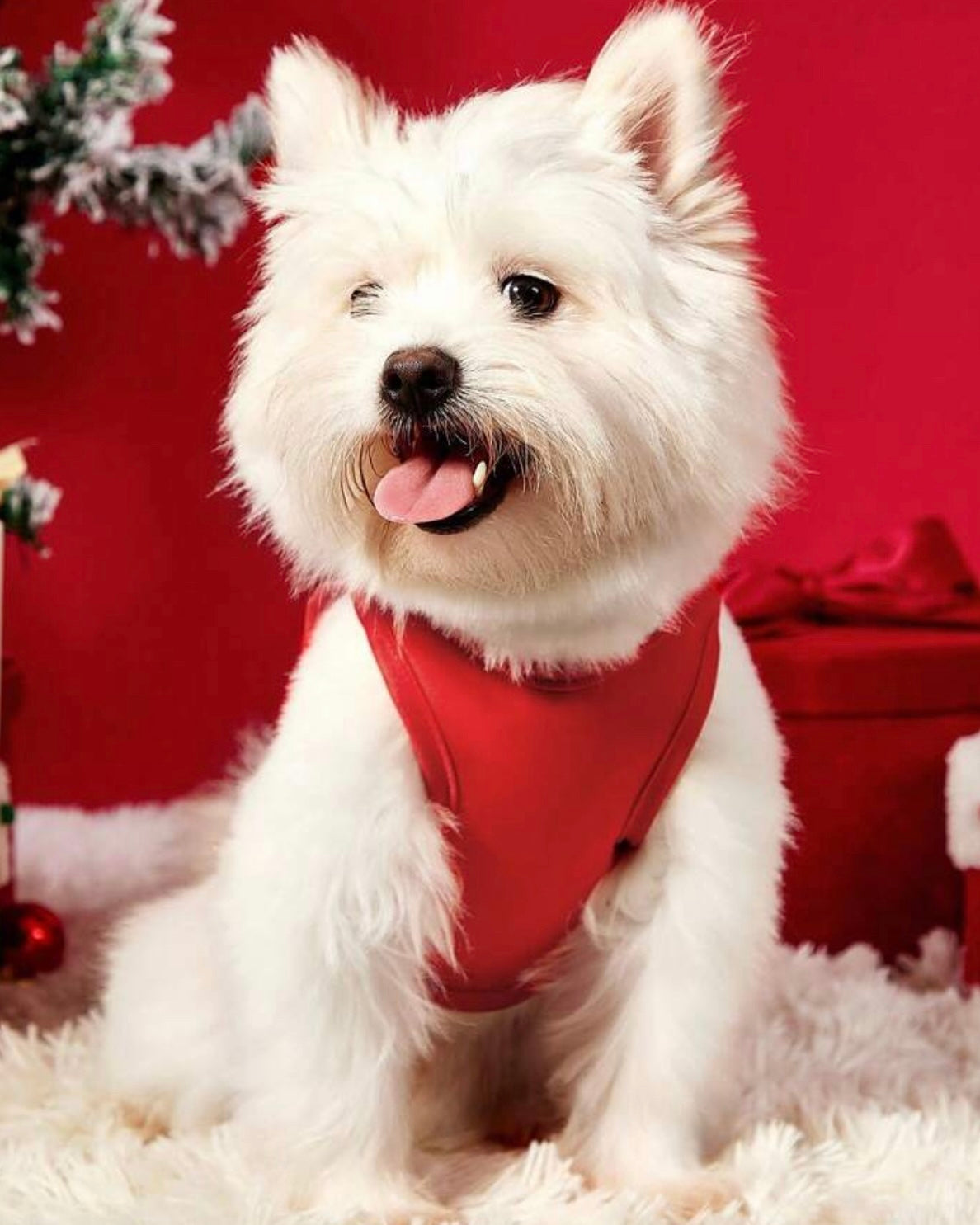 Merry Christmas Gingerbread Singlet