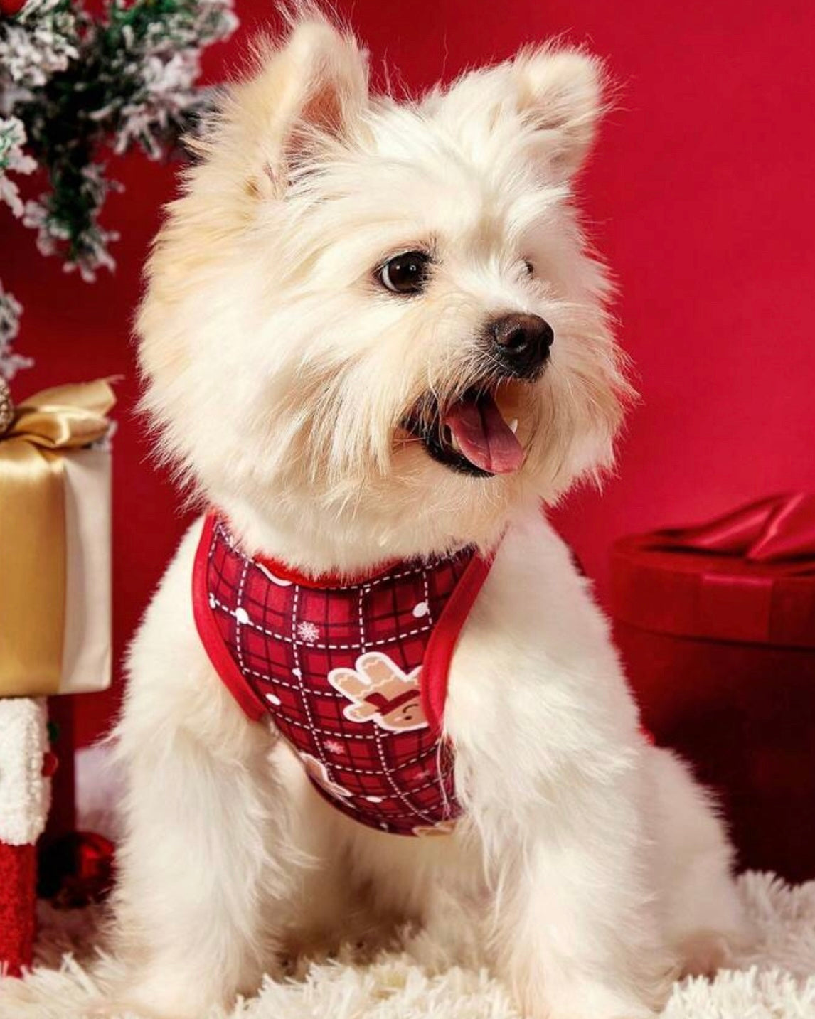 Gingerbread Christmas Singlet