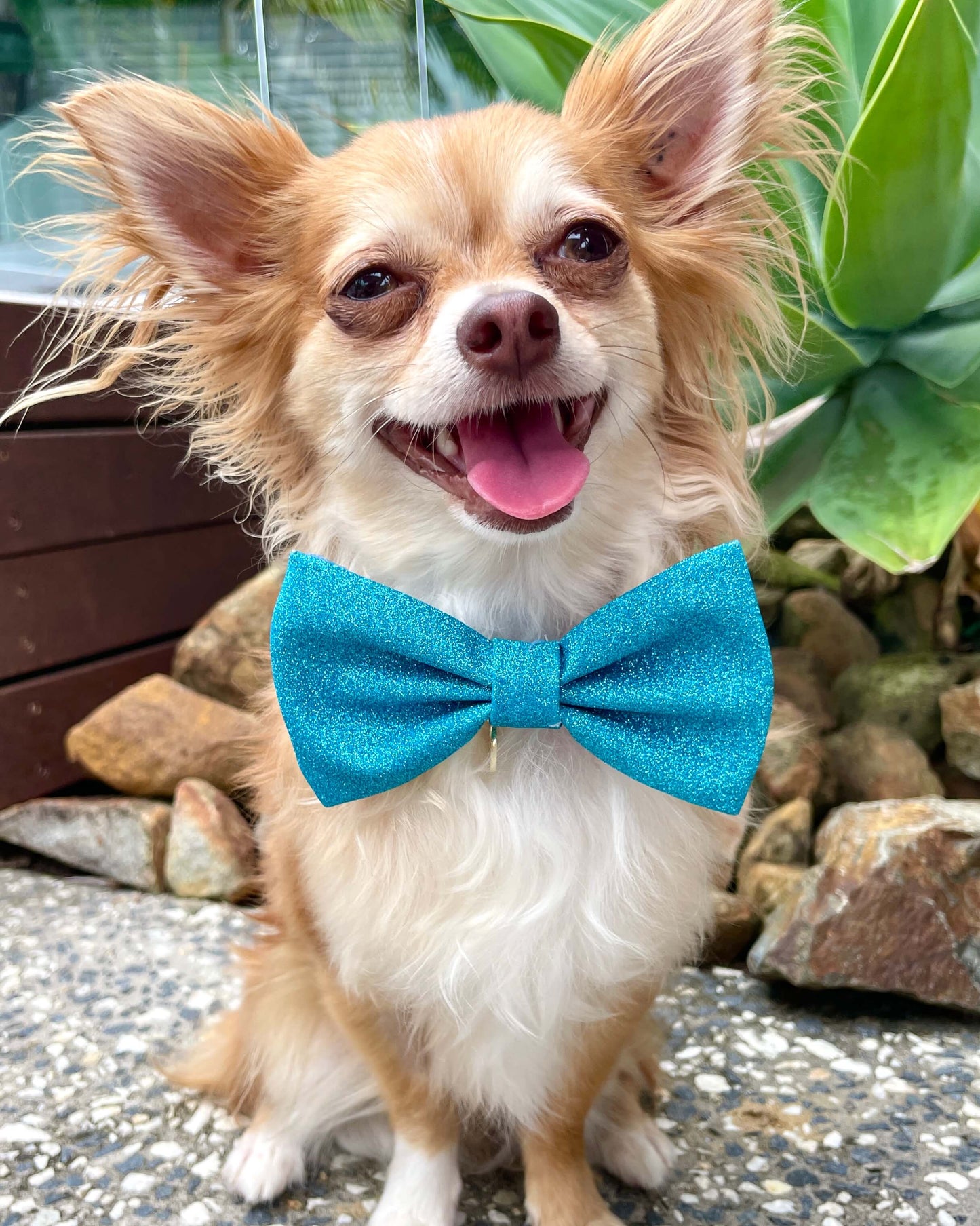 Little Luxe Glitz & Glam Blue Bow