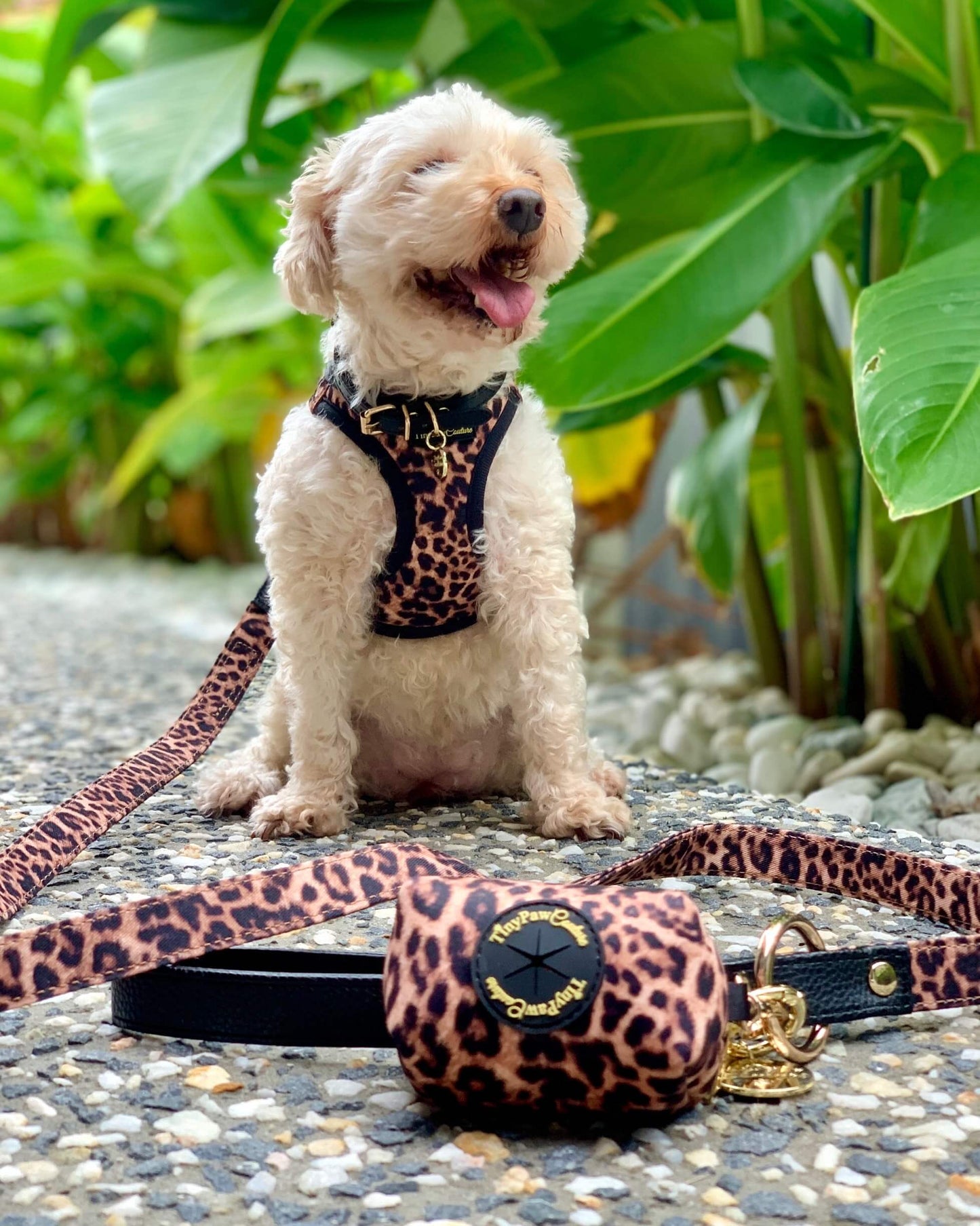 Little Luxe Leopard Step In Vest Harness