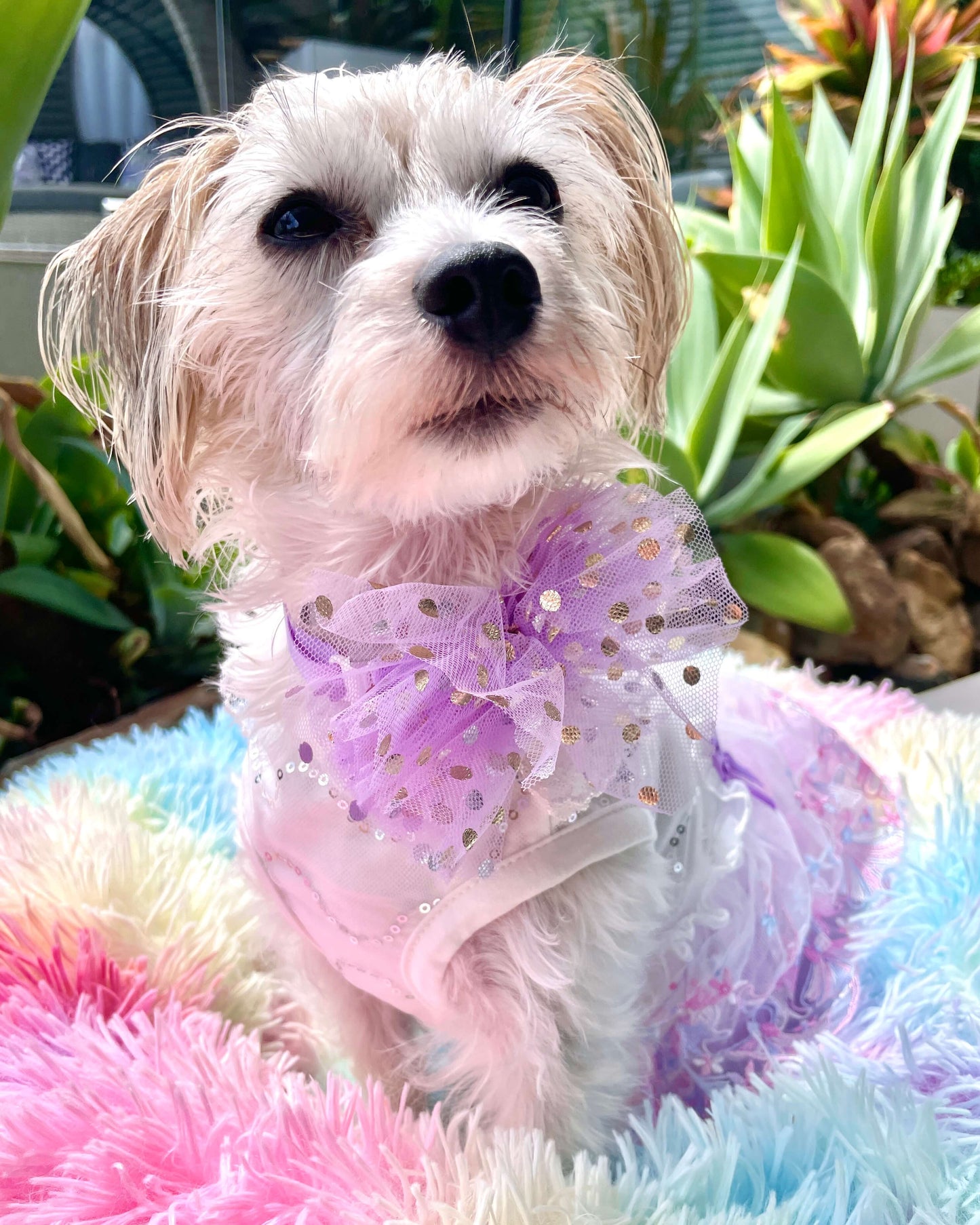 Exquisite Tulle Bow