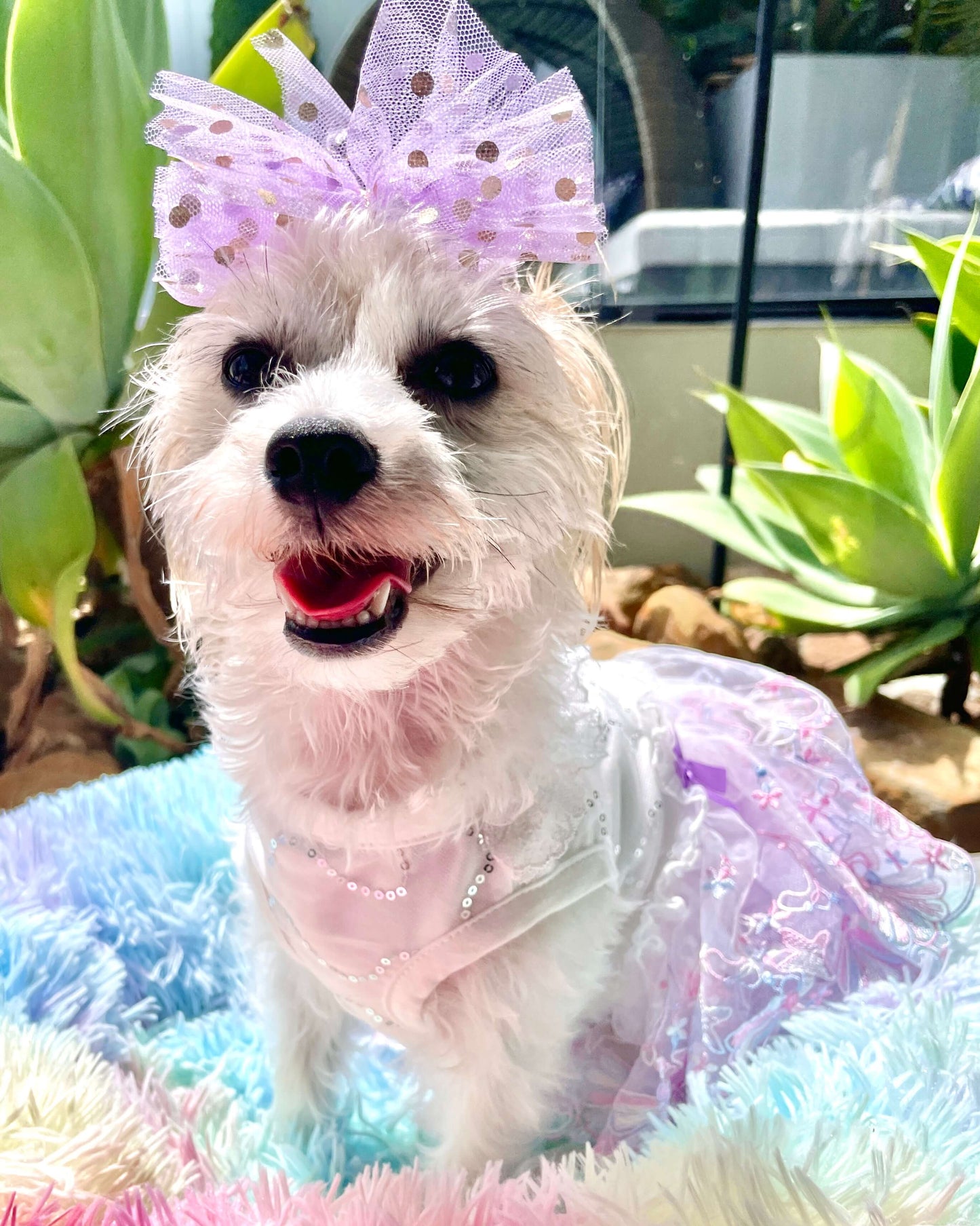 Exquisite Tulle Bow