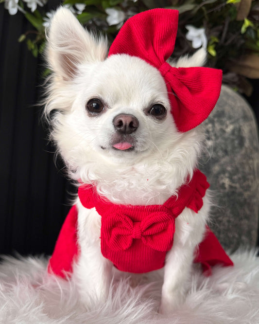 Stella Red Corduroy Dress