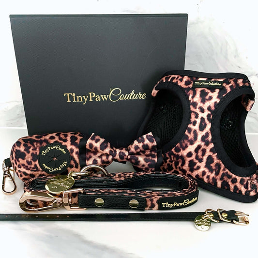 Little Luxe Leopard Set