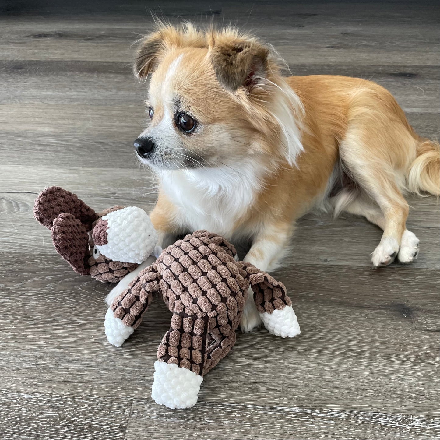 Pete the Pup Plush Toy