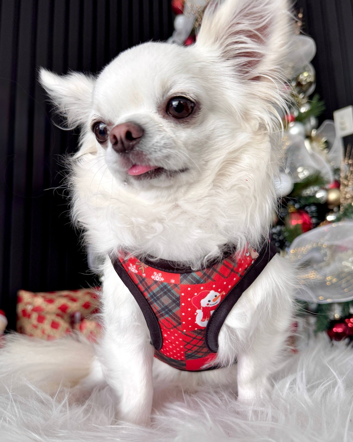 Dapper Christmas Tux Singlet