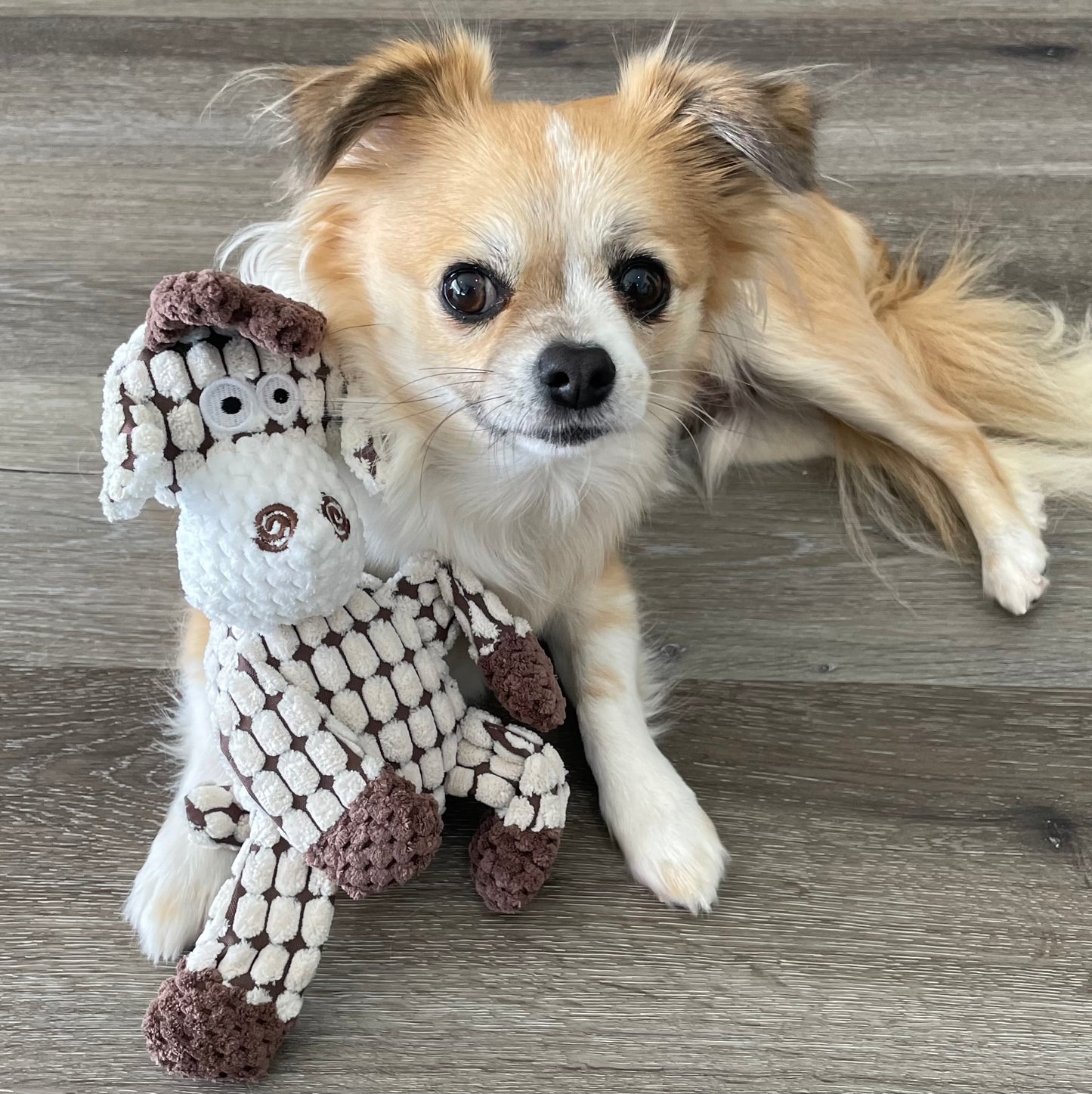 Gerry the Giraffe Plush Toy