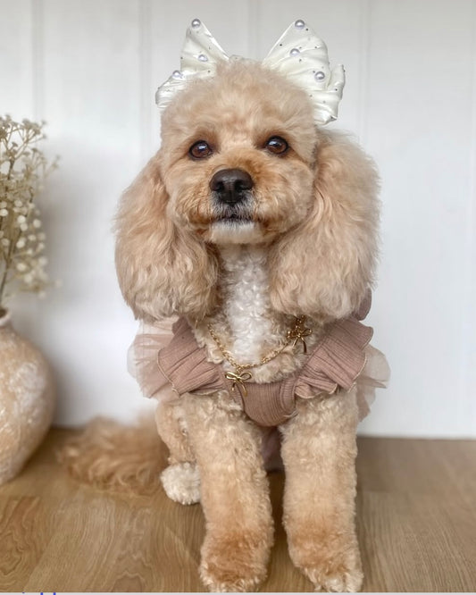 Grace Coco Tutu Dress