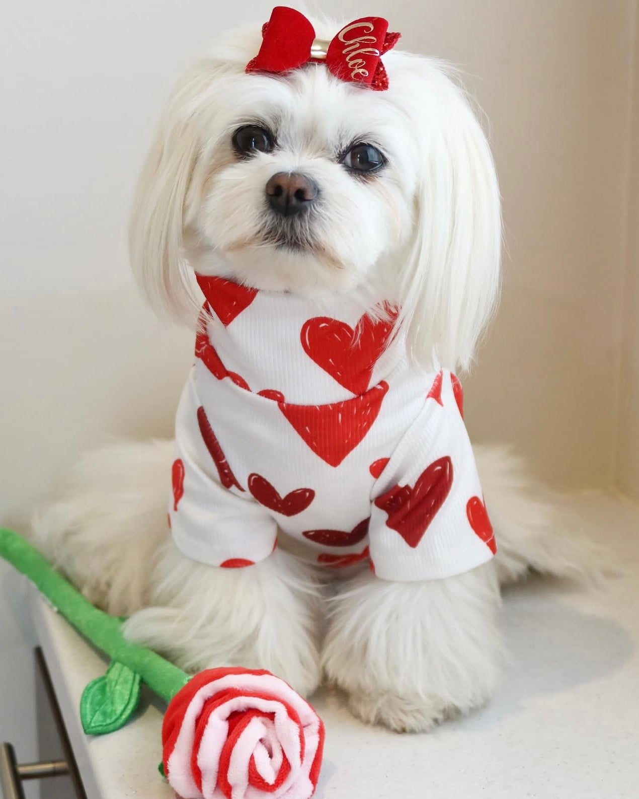 Love Hearts Top