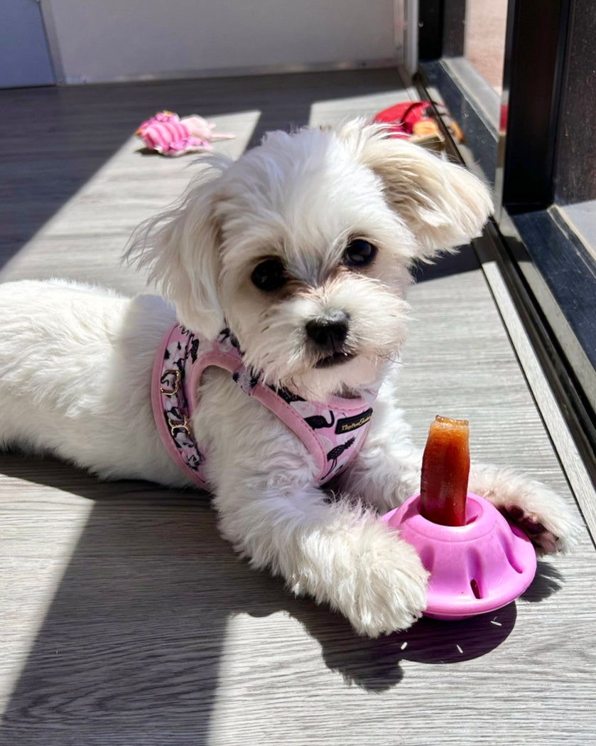 Little Luxe Flamingos Step In Vest Harness
