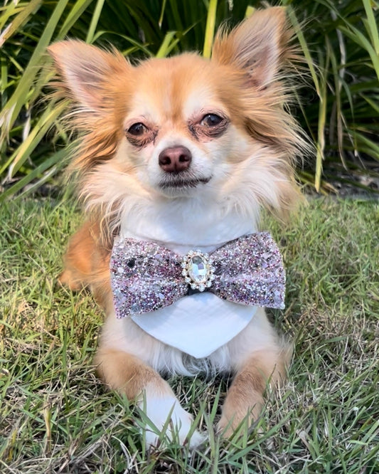 Ellis Deluxe Bandana White