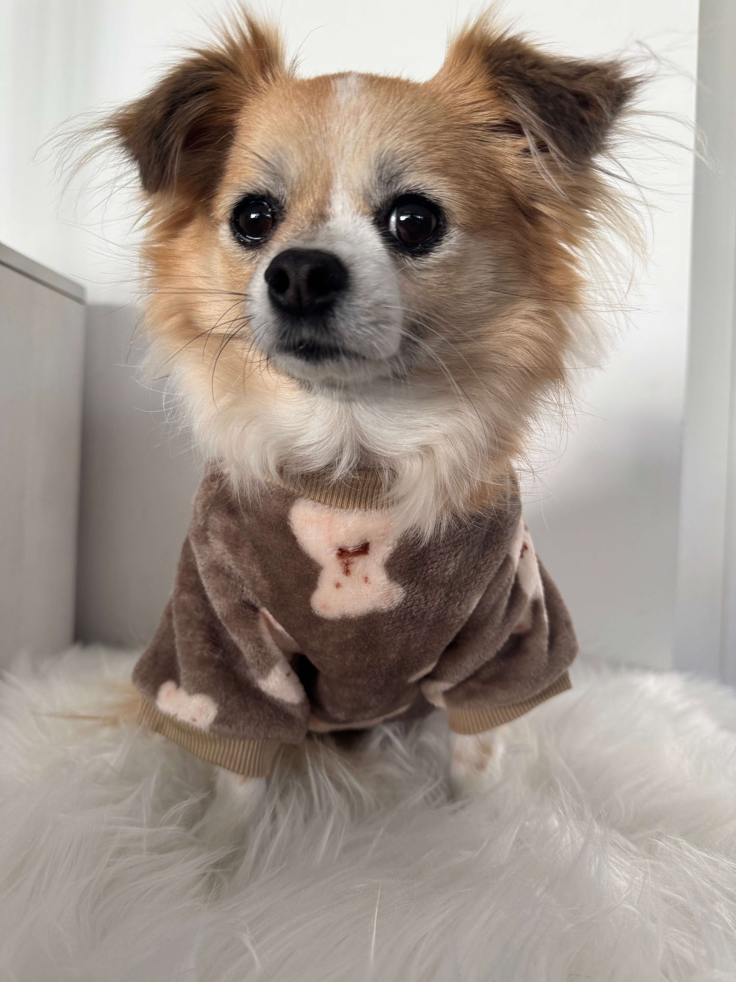 Brown Teddy Snuggle Jumper